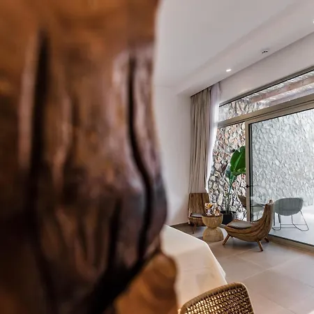 Delfini Hotel&suites 3* Archangelos (Rhodes)