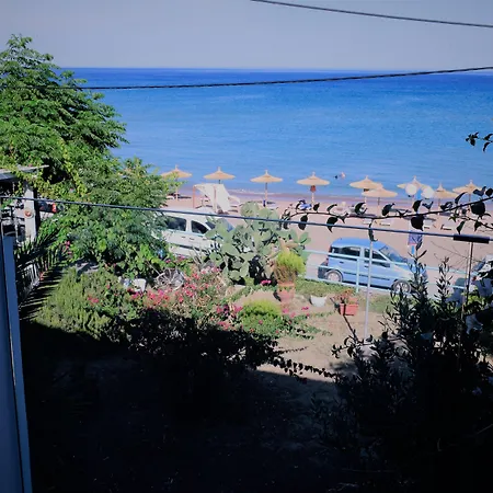 Delfini & 아크앤젤로스