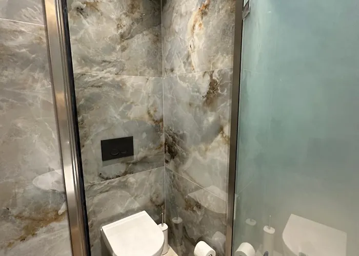 Otel Delfini & 3*